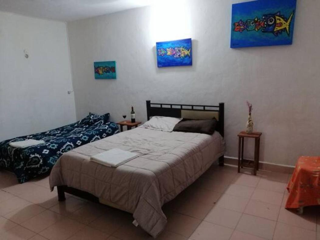 HABITACIÓN PRIVADA COZUMEL (México) - desde 435 MXN | BOOKED